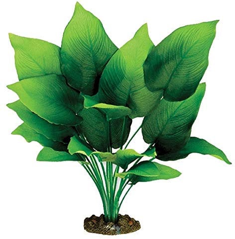 Aqua One Silk Plant Sword Radicans - 40cm