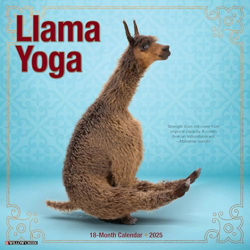 Llama Yoga 2026 12 X 12 Wall Calendar