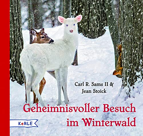 Geheimnisvoller Besuch im Winterwald: A Magical Winter