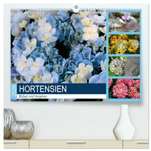 Hortensien Blühen und Vergehen (hochwertiger Premium Wandkalender 2026 DIN A2 quer), Kunstdruck in Hochglanz: Hortensie, eine Pflanze, die selbst im Verblühen reizvoll bleibt (CALVENDO Natur)