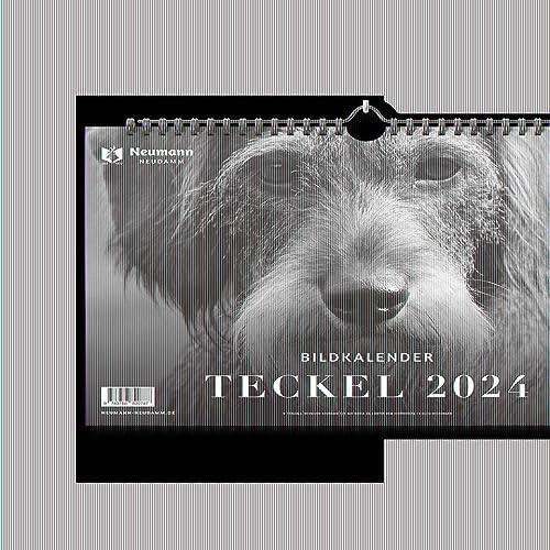 Teckel 2024: Themenkalender