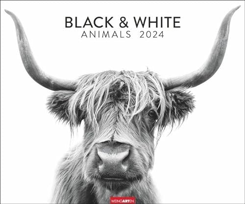 Black & White Animals 2024. Stars der Tierwelt in einem Fotokunst-Kalender! Großer Wandkalender für Tier-Freunde - hochwertige Aufnahmen in Schwarz-Weiß