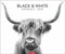 Black & White Animals 2024. Stars der Tierwelt in einem Fotokunst-Kalender! Großer Wandkalender für Tier-Freunde - hochwertige Aufnahmen in Schwarz-Weiß