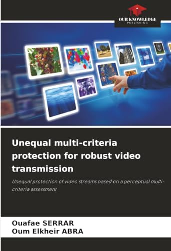 Unequal multi-criteria protection for robust video transmission: Unequal protection of video streams based on a perceptual multi-criteria assessment
