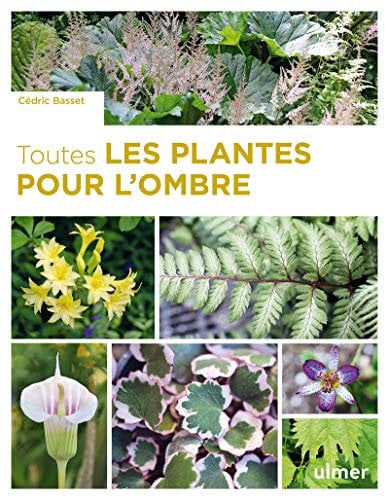 Toutes les plantes pour l'ombre