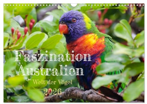 Faszination Australien - Welt der Vögel (Wandkalender 2026 DIN A3 quer), CALVENDO Monatskalender: Australien ist bekannt für seine außerordentliche ... sie ständiger Begleiter. (CALVENDO Natur)