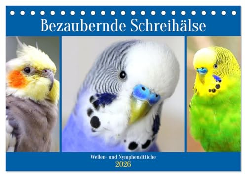 Bezaubernde Schreihälse. Wellen- und Nymphensittiche (Tischkalender 2026 DIN A5 quer), CALVENDO Monatskalender: Bunte Wellen- und kecke Nymphensittiche mit cooler Punkfrisur (CALVENDO Tiere)