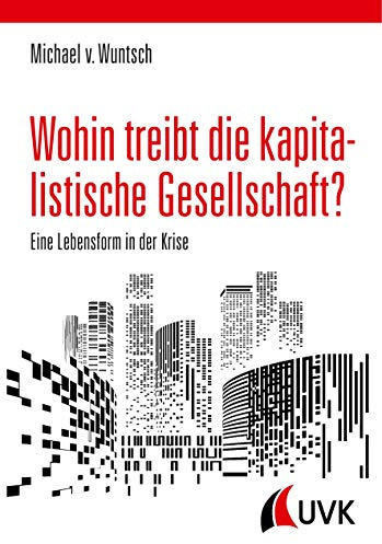 Wohin treibt die kapitalistische Gesellschaft?: Eine Lebensform in der Krise