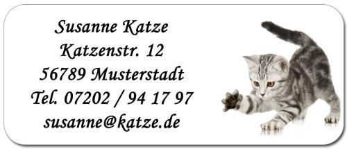 Adress-Etiketten Katzenbaby mit Ihrem Wunschtext, 160 Stück, ca. 56 x 23 mm, für bis zu 5 Zeilen Text