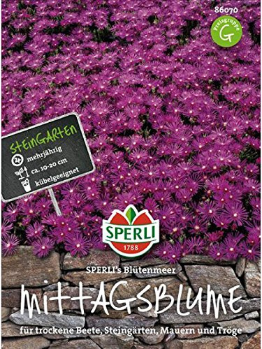 Mittagsblume, SPERLING´s Blütenmeer