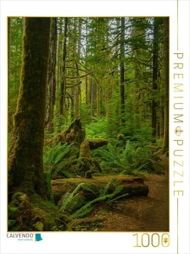 CALVENDO Puzzle Olympic State and National Parks | 1000 Teile Lege-Größe 48 x 64 cm Foto-Puzzle für glückliche Stunden