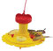Songbird Grundlagen SE78215 Schmetterling Feeder - Nectar Combo
