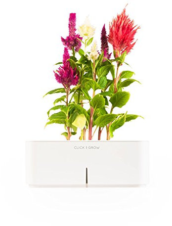 Click & Grow Smartpot Kit de Culture d'intérieur en Forme de Peigne à Coq