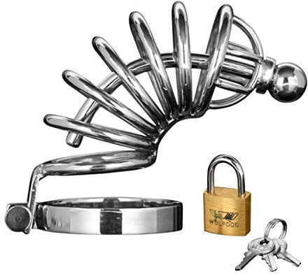 MASTER SERIES Asylum 6 Ring Locking Chastity Cage
