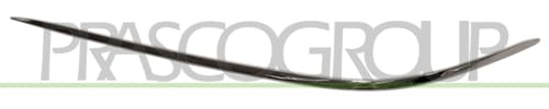 Prasco - ME5241248 - Mercedes - S Class (W220) - Mod. 01/03-12/05 - Chromleiste Links Stosstange Vorne