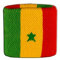 Digni® Poignet éponge avec Drapeau Sénégal