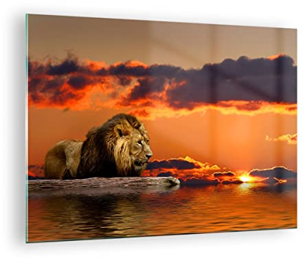 Moderne Impression sur Verre Lion Soleil Paysage Image Tableau en Verre Decoration Murale 70x50cm Deco Cadre Salon Chambre Cuisine Horizontal Petit Tableaux Decoratifs Muraux Art Wall GAA70x50-0230