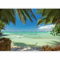 Fotomurales B&D XXL 300x210 cm Papel pintado tejido no tejido Decoración de Pared decorativos Murales moderna de Diseno Fotográfico naturaleza mar Palms c-A-0055-a-a