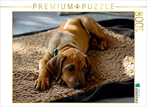 CALVENDO Puzzle Rhodesian Ridgeback Hündin | 1000 Teile Lege-Größe 64 x 48 cm Foto-Puzzle für glückliche Stunden