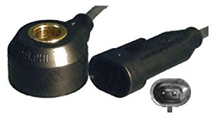 DELPHI AS10134-12B1 Klopfsensor Kompatibel mit OPEL ZAFIRA B A05 10456240 10456669 6238370