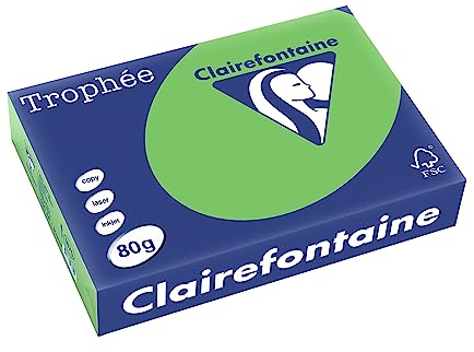 Clairefontaine 1875C - Karton mit 5 Ries Druckerpapier / Kopierpapier Trophee, intensive Farben, DIN A4, 80g, 500 Blatt x 5, Minz, 1 Karton