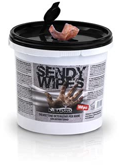 SALVIETTE DETERGENTI NETTUNO SECCHIELLO 100PZ