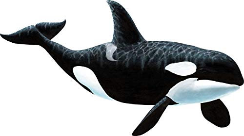 Walls of the Wild Orca Killer Whale Wandbild
