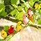 Talking Tables Pack of 6 Tropical Bird Decorations for Garden | Clip on Budgies for Hawaiian Theme, Luau Summer Party, Fiesta, Tiki Bar Accessories, Metal, 17x14.5x4 cm