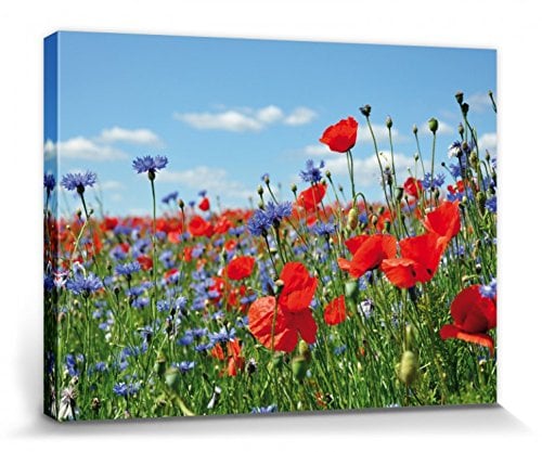 1art1 Blumen Poster Wildblumen-Wiese Mit Mohn- Und Kornblumen Bilder Leinwand-Bild Auf Keilrahmen | XXL-Wandbild Poster Kunstdruck Als Leinwandbild 40x30 cm