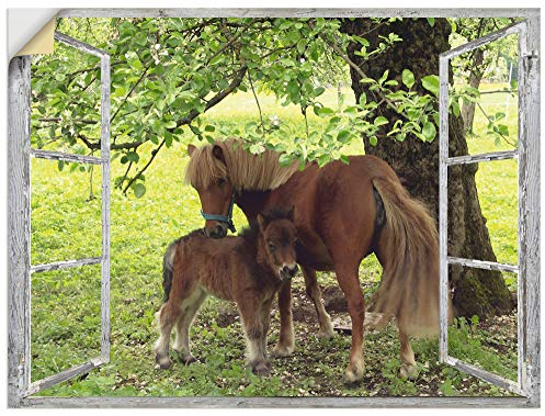 ARTland Wanddeko Wandtattoo selbstklebende Vinylfolie 120x90 cm Fensterblick Fenster Pferd Pony Tiere Natur Wiese Landhaus S8HN