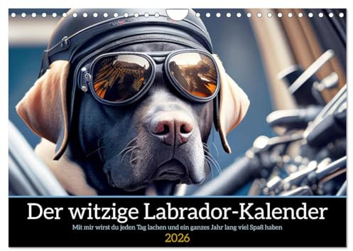 Der witzige Labrador-Kalender (Wandkalender 2026 DIN A4 quer), CALVENDO Monatskalender: Mit mir wird der Labrador Besitzer jeden Tag lachen und ein ganzes Jahr lang viel Spaß haben (CALVENDO Tiere)