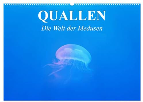 Quallen. Die Welt der Medusen (Wandkalender 2025 DIN A2 quer), CALVENDO Monatskalender