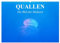 Quallen. Die Welt der Medusen (Wandkalender 2025 DIN A2 quer), CALVENDO Monatskalender