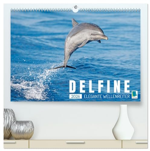 Delfine: Elegante Wellenreiter (hochwertiger Premium Wandkalender 2026 DIN A2 quer), Kunstdruck in Hochglanz: Delphine: Die Welt der verspielten Meeressäuger (CALVENDO Tiere)