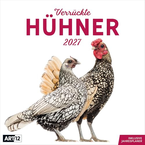 Verrückte Hühner Broschürenkalender 2027 - 30x30 - Art12 | Außergewöhnlicher Tier-Kalender im schlanken Hochformat (aufgeklappt 30x60 cm) | Notizen