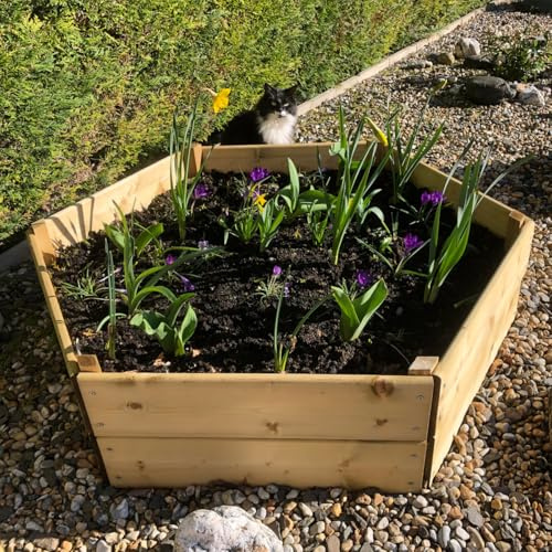 Greena Hexagonal Timber Raised Garden Planters For Outdoor Plants Vegetables Herbs Flowers Renewable Scandinavian Pine Pressure Treated For Long Product Life Made in the UK (60(L) cm x 30(H) cm)