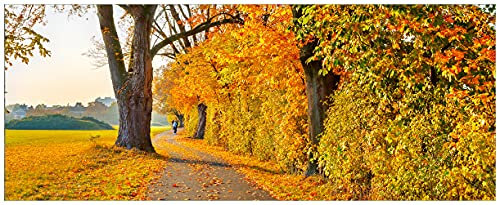 Wallario Poster - Herbstlicher Waldweg mit Buntem Laub in Premiumqualität, Größe: 80 x 200 cm XXL-Poster