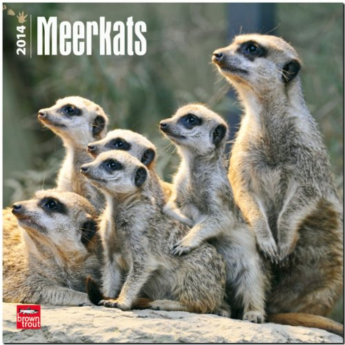 Meerkats 2014 - Erdmännchen: Original BrownTrout-Kalender [Mehrsprachig] [Kalender] (Wall-Kalender)