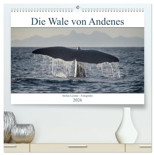 Die Wale von Andenes (hochwertiger Premium Wandkalender 2026 DIN A2 quer), Kunstdruck in Hochglanz: Andenes auf den Vesteralen in Norwegen ist der ... Jahr über gesichtet werden (CALVENDO Tiere)