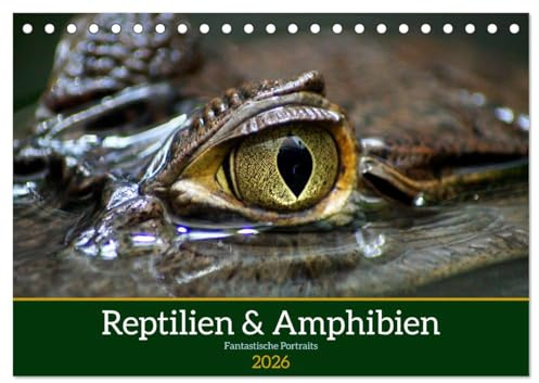 Reptilien & Amphibien Portraits (Tischkalender 2026 DIN A5 quer), CALVENDO Monatskalender: Jahreskalender mit Portraits faszinierender Reptilien und Amphibien (CALVENDO Tiere)