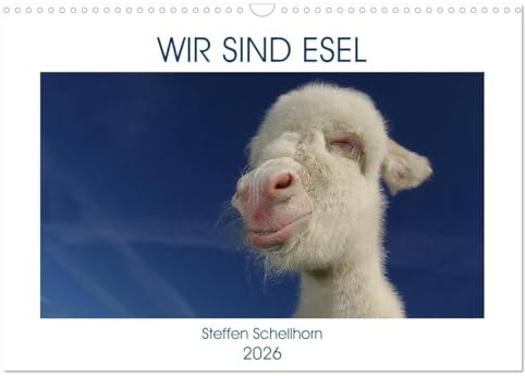 WIR SIND ESEL (Wandkalender 2026 DIN A3 quer), CALVENDO Monatskalender: Esel sind nicht nur grau und stur, sie sind wundervolle Tiere, halt Esel. (CALVENDO Tiere)