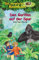 Das magische Baumhaus (Band 24) - Den Gorillas auf der Spur: Erkunde mit Anne und Philipp den afrikanischen Regenwald! - Kinderbuchklassiker zum Vorlesen und Selberlesen ab 8 Jahren