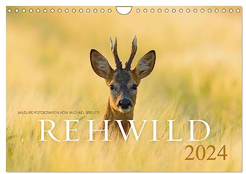 Rehwild 2024 (Wandkalender 2024 DIN A4 quer), CALVENDO Monatskalender: Das scheue Wildtier durch das Jahr (CALVENDO Tiere)
