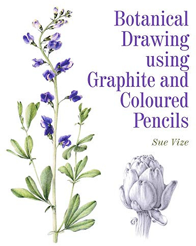 Botanical Drawing using Graphite and Coloured Pencils