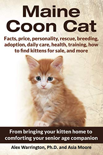 Maine Coon Cat: From bringing your kitten home to comforting your senior age companion: Your Ultimate Guide to Maine Coon Care (The Ultimate Feline Care Guides)