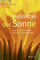 Heilmittel der Sonne: Mythen, Pflanzenwissen, Rezepte und Anwendungen
