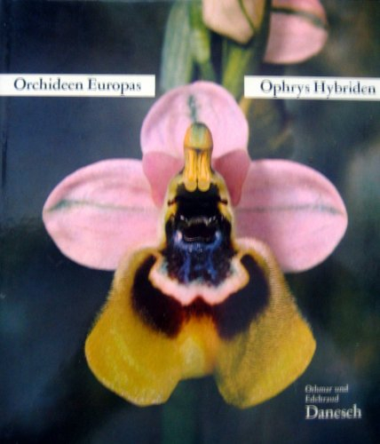 Orchideen Europas - Ophrys Hybriden