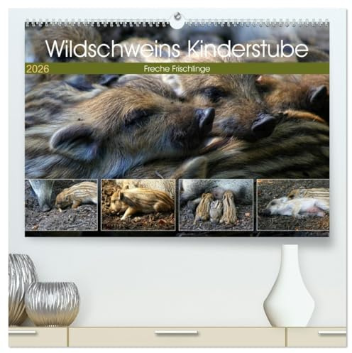 Wildschweins Kinderstube - Freche Frischlinge (hochwertiger Premium Wandkalender 2026 DIN A2 quer), Kunstdruck in Hochglanz: Fressen, spielen, ... langweilen sich nie. (CALVENDO Tiere)