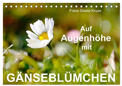 Auf Augenhöhe mit Gänseblümchen (Tischkalender 2026 DIN A5 quer), CALVENDO Monatskalender: Den unverwüstlichen Wiesenblumen, die selbst Schnee und Eis trotzen, ins Gesicht geschaut (CALVENDO Natur)