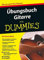 Übungsbuch Gitarre für Dummies